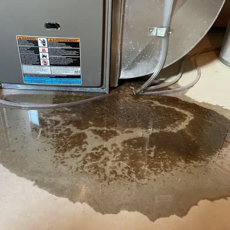 Appliance Leak Cleanup in Vieques, PR